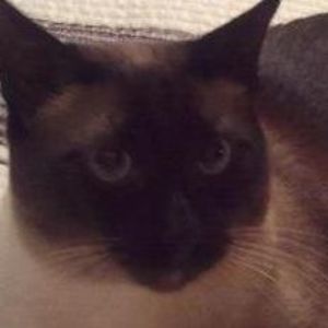 Meet your Posher, Renae